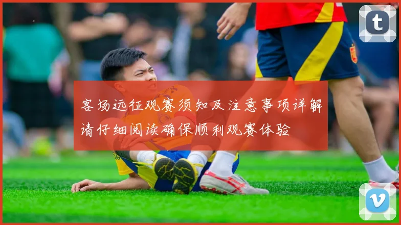 客场远征观赛须知及注意事项详解请仔细阅读确保顺利观赛体验